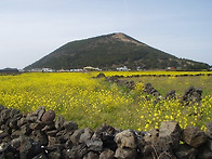 종달리 지미봉/제..