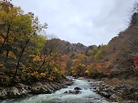 제209차 오대산 선재길 트..