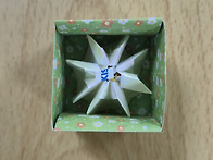 태극 문양과 호박키세스