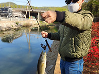 Lure Fishing