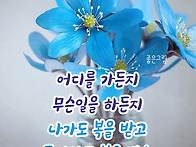 2026년 8월 26..