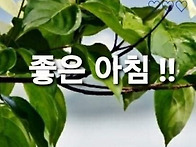 9월 막 날 출석부