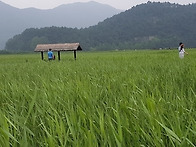 아름다운 삶을 여는 마음으..