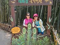 울산(대나무숲길/출렁다리..