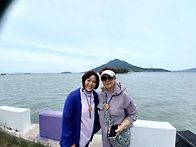 신안 퍼플섬(안좌/박지/반..