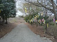 여수 영취산 진달..