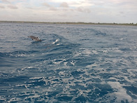 괌 가족여행(2019.1.18..