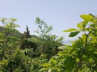 군산 새만금 월영산 대각산..