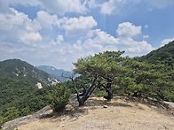 1746회(2026.06.11,목..