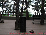 청계산(淸溪山)&#65308;..