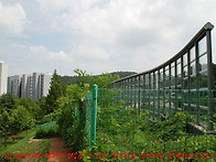 대모산과 인능산＜..
