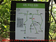 사패산＜정휘옹주..