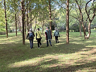 도시이용프로그램 10.29..