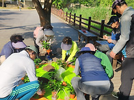 도시공원 프로그램 중외공..