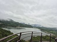 경기 안성의 금광저수지에..