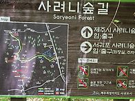 싱그런 제주샤려니 숲길에..