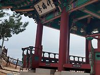 죽지 않았는데 /베롱나무