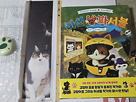 미션 냥파서블