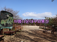 [아름다운대구와룡산] 대구..