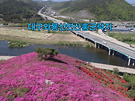 [아름다운와룡산] 대구 달..