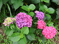 [블랙야크100대섬산행] ..