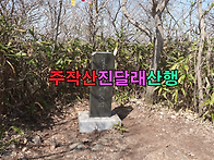 [주작산진달래산행] 전남강..