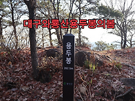 [와룡산의봄] 대구 달서구..