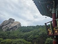 용등회 속초/고성