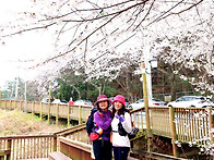 진해 장복산 (04/05)