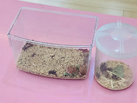 [동물나라] 굴을 파고 사..