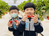 [견학] 딸기밭에 다녀왔어..