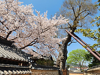 삶, 숨, 쉼터, ..