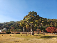 삶, 숨, 쉼터, ..