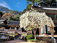 삶, 숨, 쉼터, ..