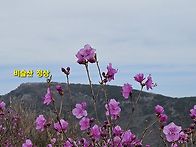 26.4.12 대구 "비슬산" ..