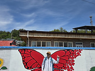 금당도
