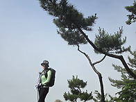 고성 수태산