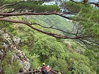 구봉산&#129406;&#129406;