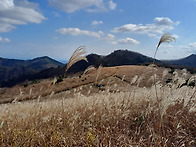 동대봉산 늦가을