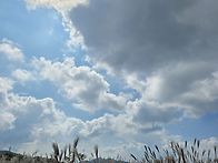 경주 무장산