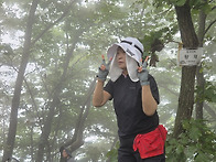웅석산 딱4장
