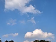 과천 대공원 번개 중