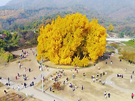 11월9일10일(토.일) 가고..