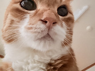 오랜만에 모카 소식 전해요