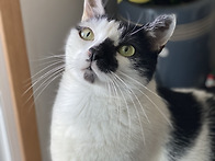 도트를 떠나보냈습니다..