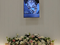 하나도 고양이 별로 여행을..