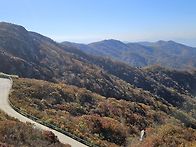 양구 대암산 용늪..