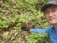 야근후~ 강원개척산행!
