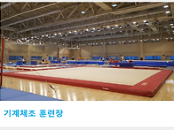 [스포츠탄성바닥재공사건축..