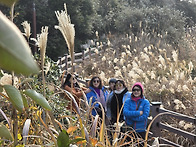 제주 한라산 박도보2차 몇장 더더더 투척